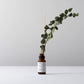 AIR ユーカリを使用したETERNAL FLOWER